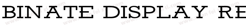 Binate Display Regular字体转换